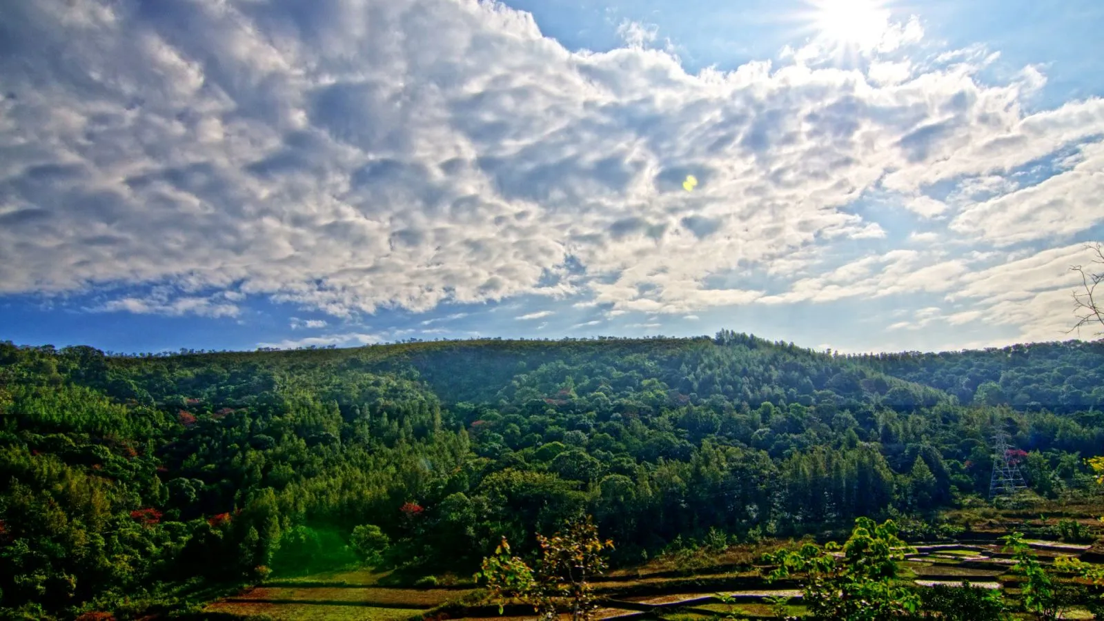 Ananthagiri Hills